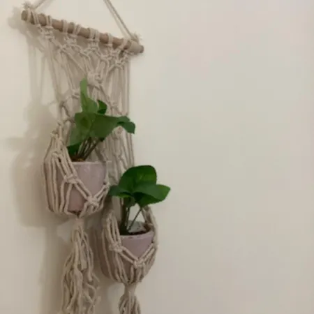Almolo18 * Катания